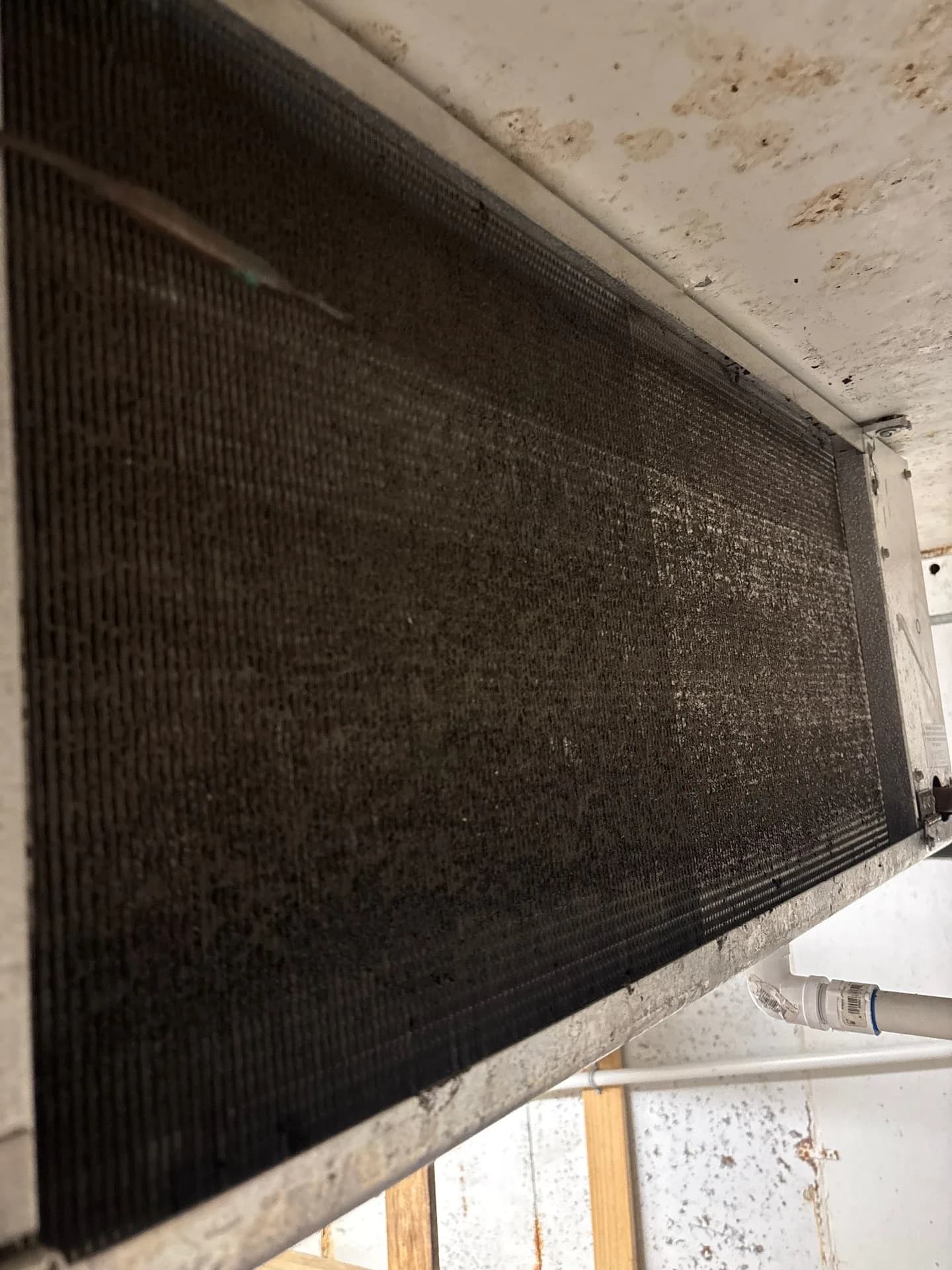 Walk-In Cooler Stopped Cooling at a Galveston Business
