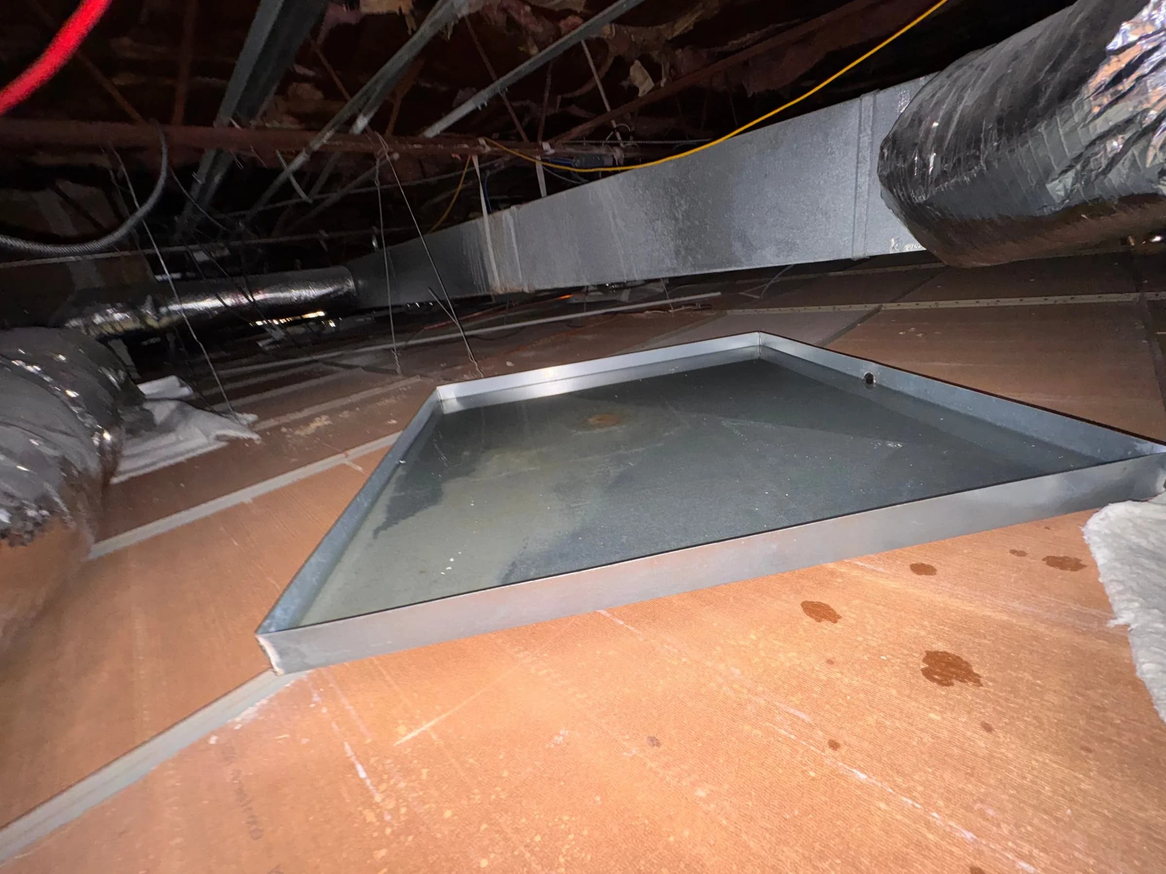 Water Leaking Through the Ceiling of a Houston Business